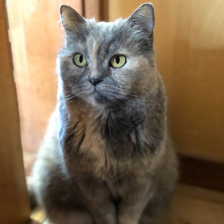 D642caf9 d5bb 4902 a517 af21b7fd2e44 1668169573198