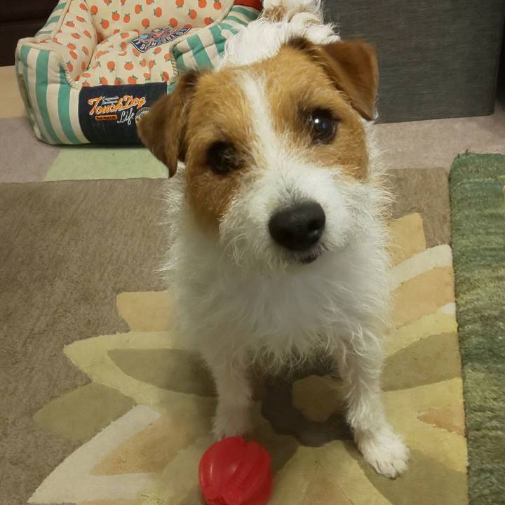 D642cde4 6127 4cdf a2c5 f7356314ffe6 1590484119034