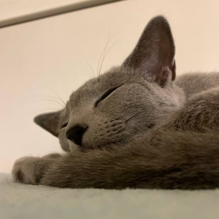 D642d0c1 22af 4c4b b1bc 61f73af8844f 1625830319004