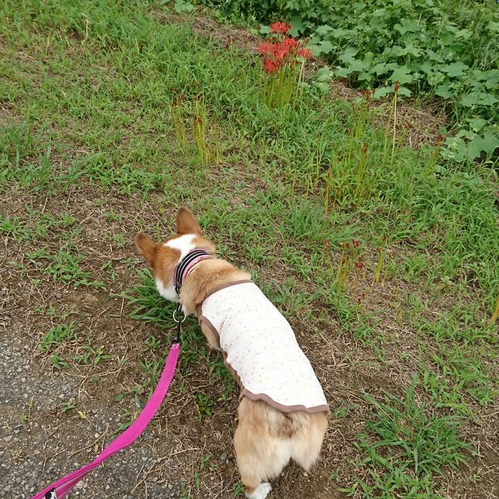 D642e9bf bdbf 4d25 801e 6b4bc5c09142 1536723062256