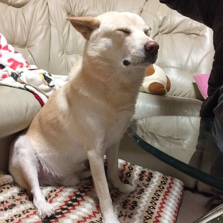 D6430d30 e759 4351 a18f d6af40b0da25 1513252973311