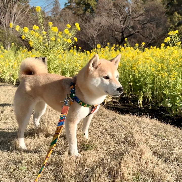 D643452b 2ee7 4173 92c2 216d4495dfff 1772675047818