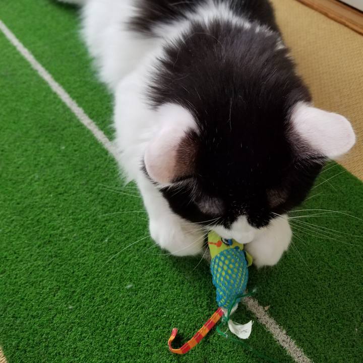 D6434b69 3a37 4240 aa5e 85c18feef834 1539052842106