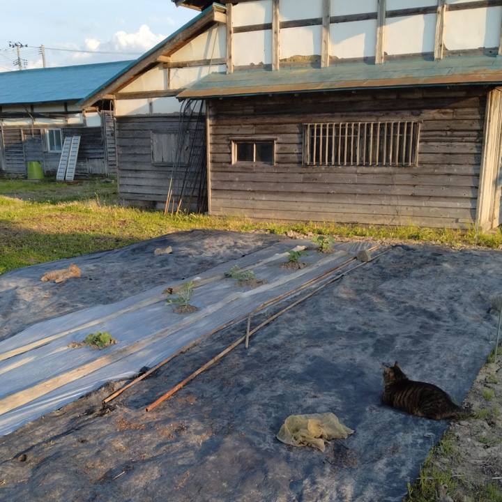 D6435ecf 024d 4a3a 878f 9e58ac4a8d1e 1686128607516