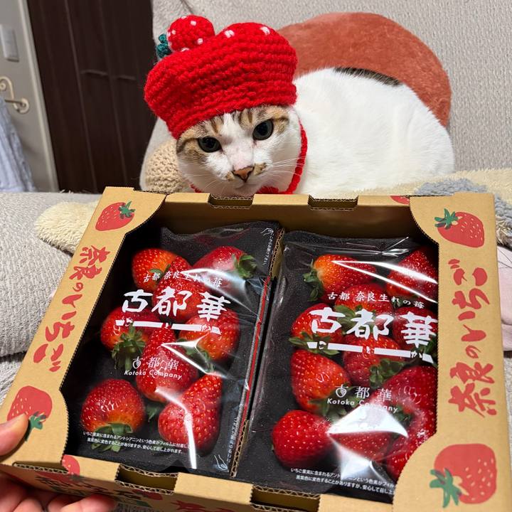 D64363e4 62f1 4c03 901a 29c399529336 1774514280499