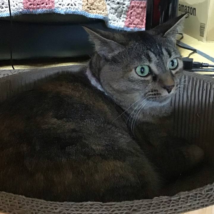 D64371dd cac4 4789 a462 8bdeb839a13c 1721980003833