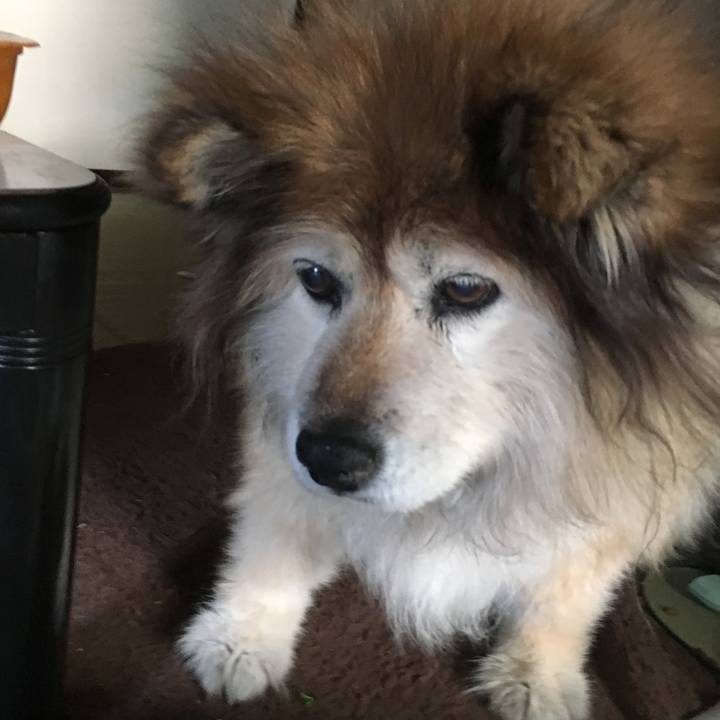 D643804a 1c98 4c43 8a21 9d93e56420e9 1573263888982