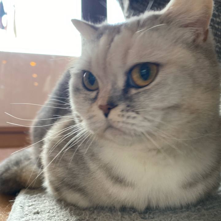 D643b0d7 3b1c 4f78 92ab 0a60ad777678 1738018342806