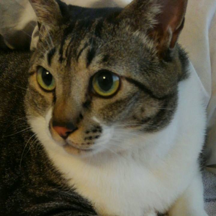 D6442984 c38e 473a 957a 96cdeb5d5d26 1509146561308