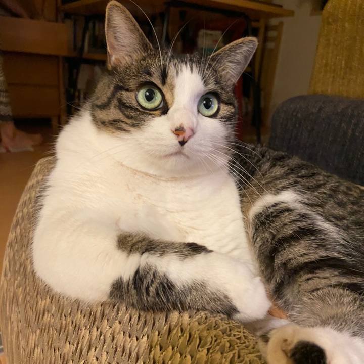 D64436e8 6523 4fdb 84e7 bfda2dea48c2 1595758053434