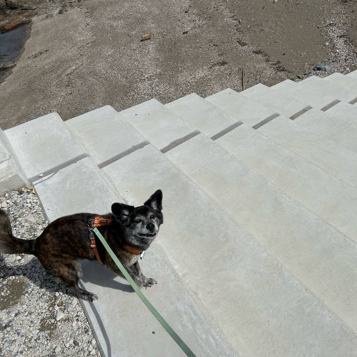 D6445f97 79d3 49ea 93e3 1738666eb65a 1746998776703