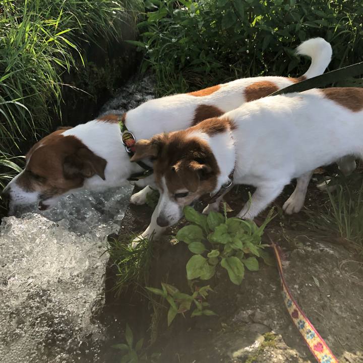 D644b3b0 dc85 4704 ad32 f2b2bf53818b 1535290824252