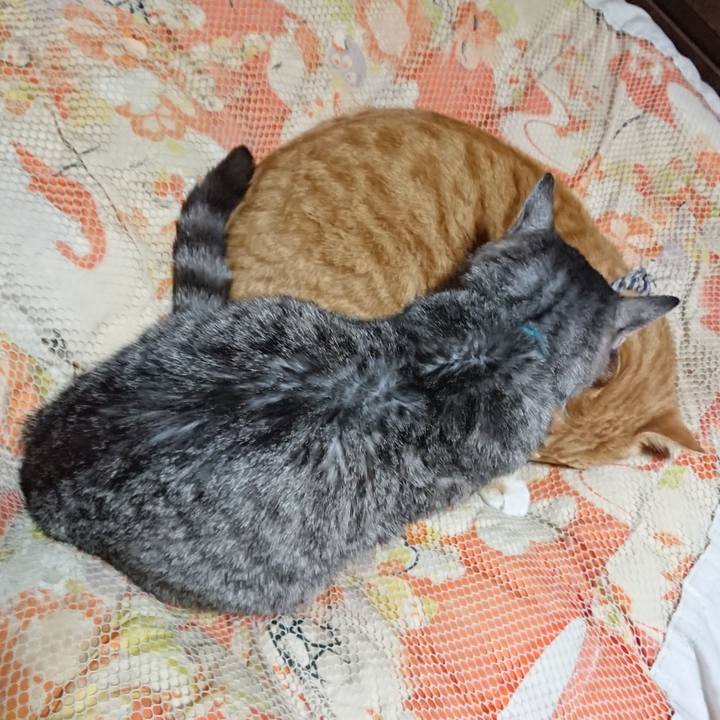 D644c2b7 86b2 4ac8 aa55 205e5c2de5e1 1574252034930