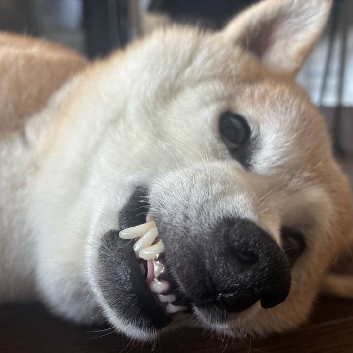 D644dbdc 3200 4659 946f 3d086894f6d9 1753648162332