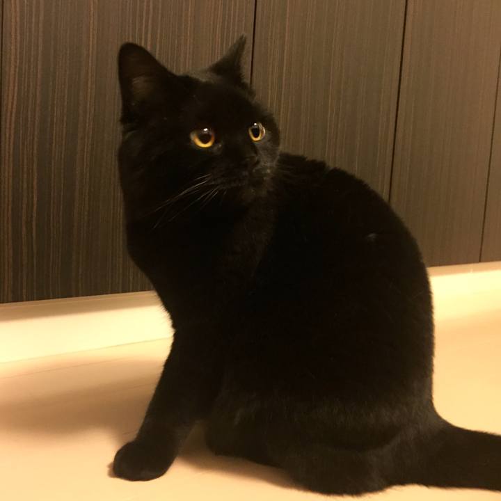 D644f172 f360 45c7 9302 ce675506ea38 1590062776486