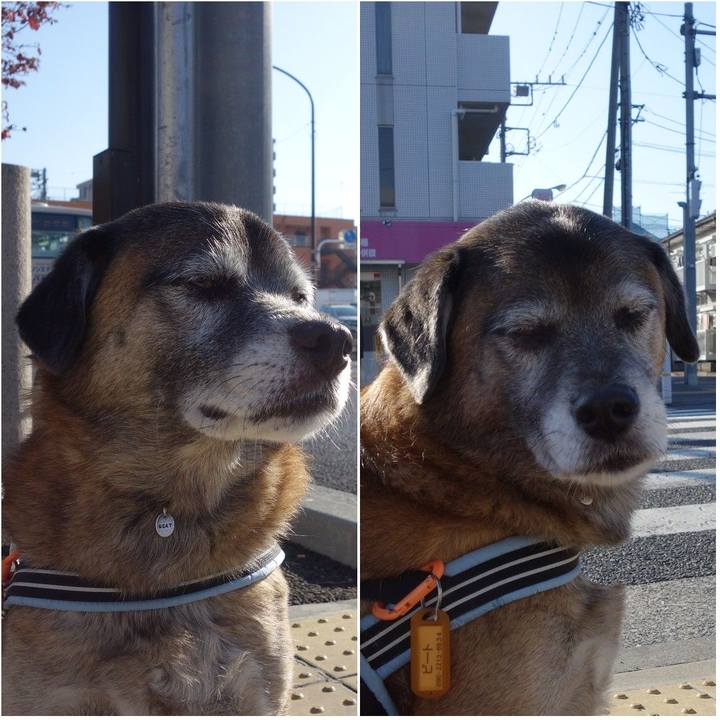 D64518bd a08c 48d5 8e0f 24079ee9101d 1622247780451