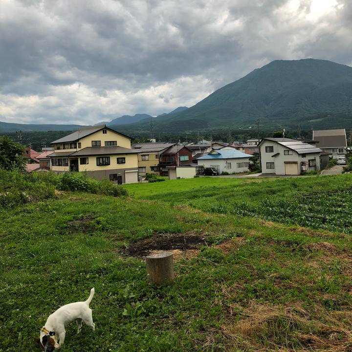 D64535de 4e9d 4c0f a2c7 f26823d3b8dd 1530108604452