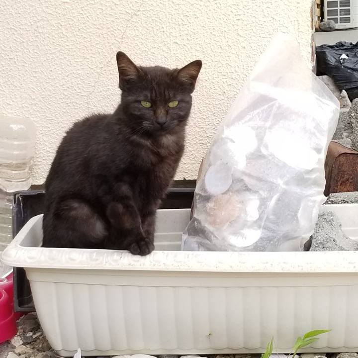 D645406b e9b1 4c6b a8e5 ee2e48da2ee3 1559203741479