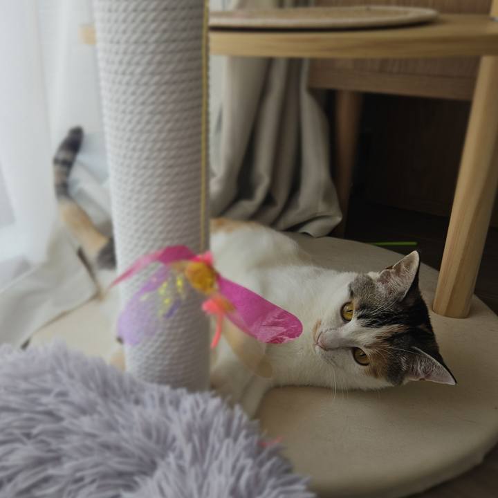 D6454b8c 1f61 44da bf42 83e0ce99de67 1755858649102