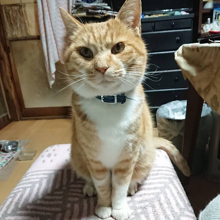 D64580db 932d 402e 93e3 9ea11271ce1c 1606938347300