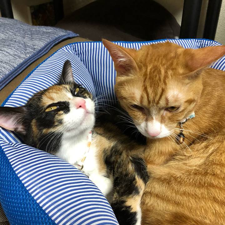 D6458201 1bf1 48c6 899a a0fd7b599fde 1564665700155