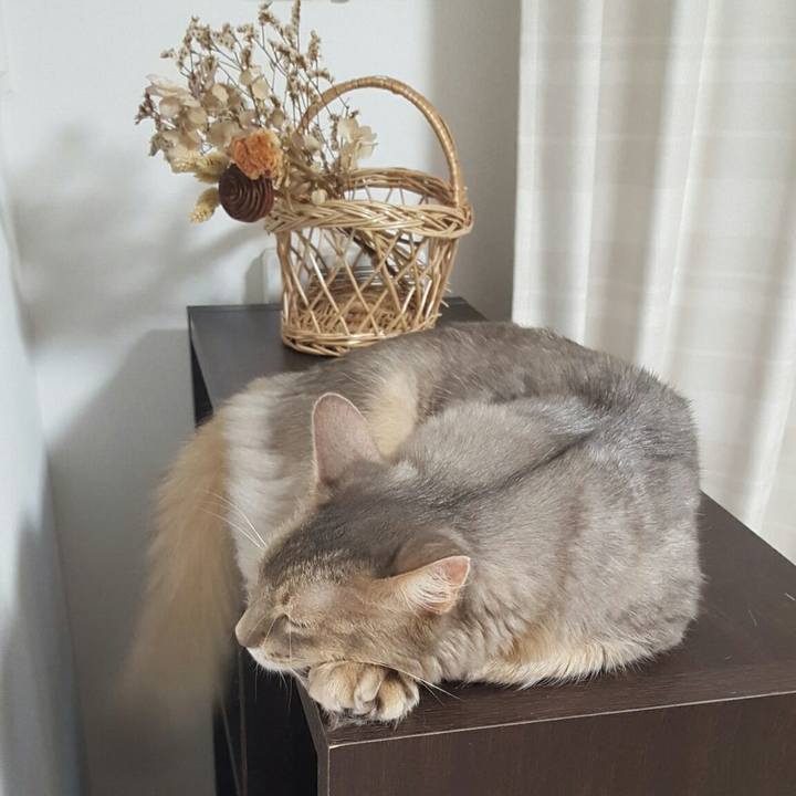 D6459b4d 8986 4fef 85c5 6f4acb5c7067 1538823905596