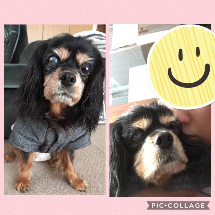 D645a49d 0ca8 4815 93c7 f7a72b647354 1572789781906