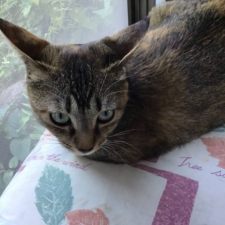 D645bc6a 3ba7 41dd 8439 6795210c37c6 1590560699491