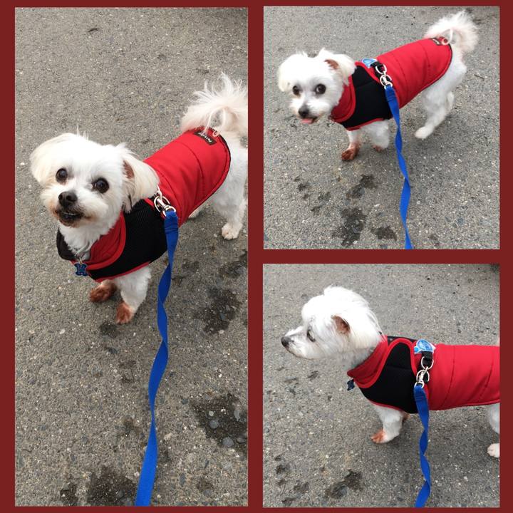 D645c4ad ed29 4da9 a25a 057e28a42400 1639724546283