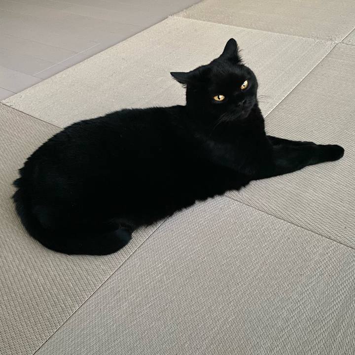 D645c559 81f7 4176 9195 6c679ddbf2a2 1681825536725