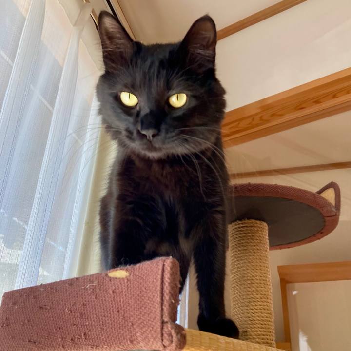 D6460eb4 c5ad 4f73 a2ce 68bf3b248618 1736733619751