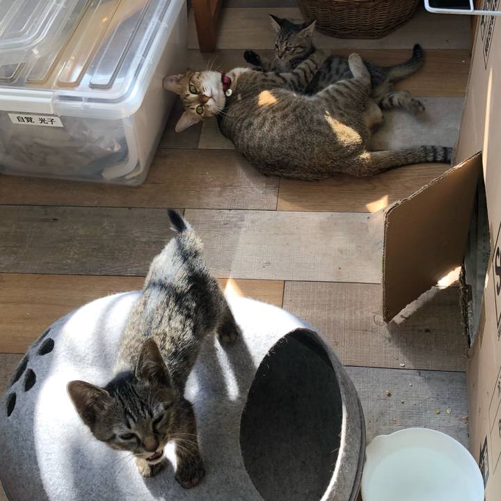 D6461f63 4c75 4c4d aaa5 bf8be8ae4613 1602736473488