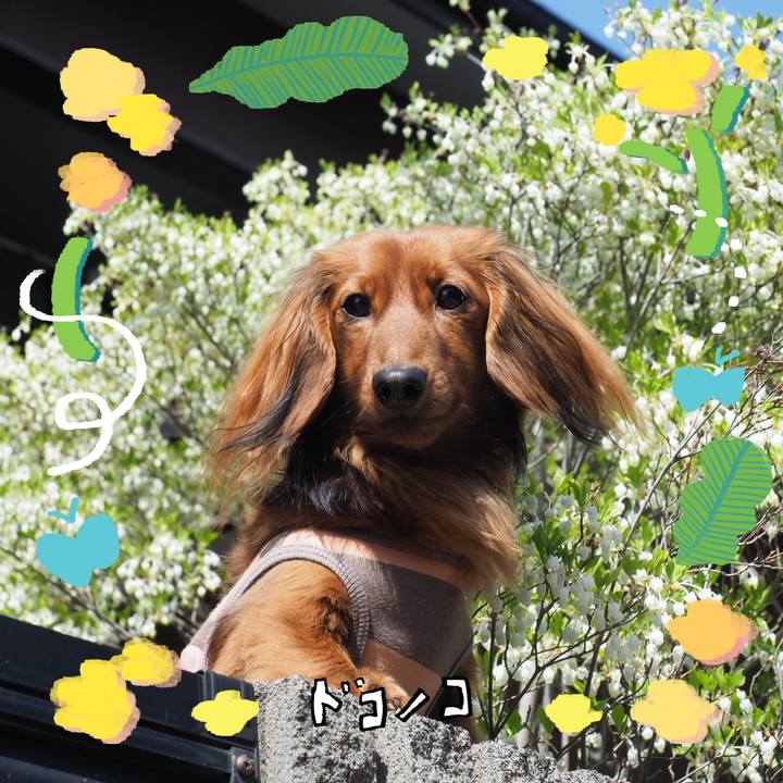 D646382b f84c 4e93 bbba 684e75d98947 1744616171768