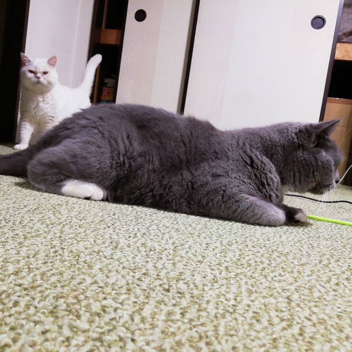 D6464f21 fd53 4ef1 9696 55c17dc7f42f 1634874858178