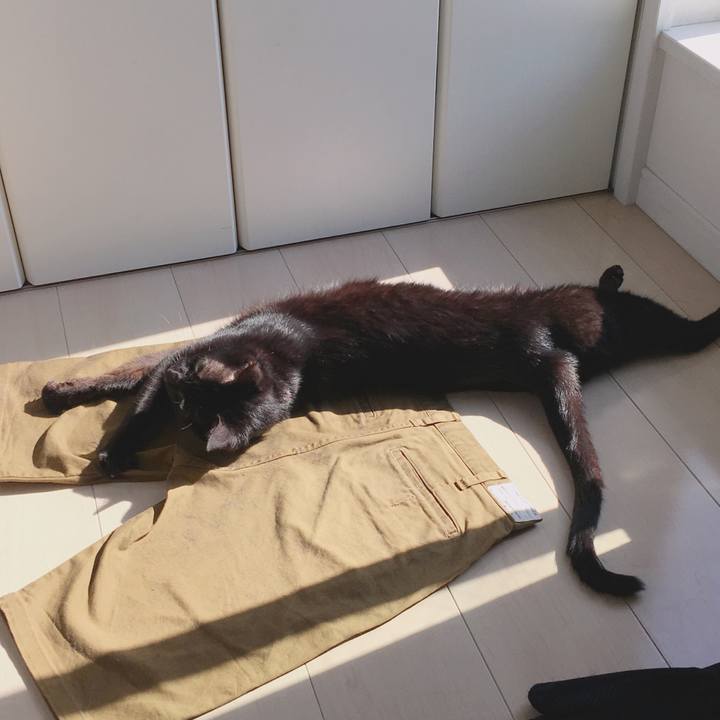 D6468001 960b 4a29 9b8a bbd8a64680cc 1560853454189