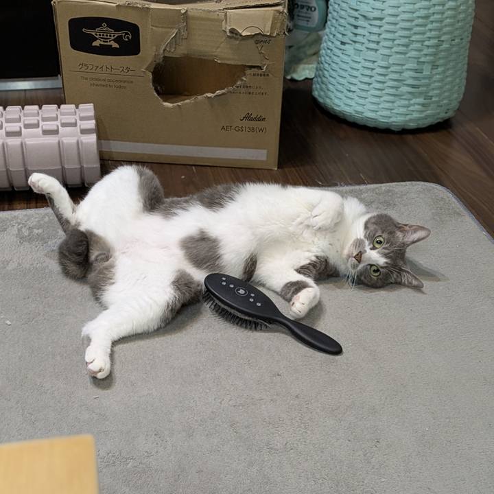 D64698be bfa0 4bb4 983a 1b08787f8e6b 1758592154609