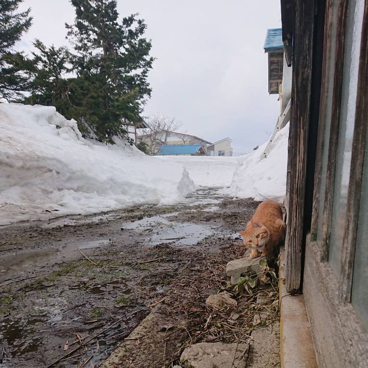 D646b0c0 8392 4620 a4d5 773fe5ac712a 1646183400900