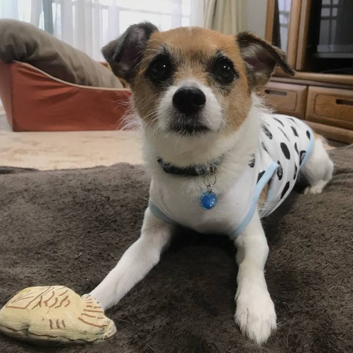 D646b219 da02 4cd8 b9e4 6ac23c9a7c51 1534806130505