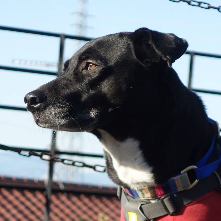 D646c8b4 fdec 4d3e bfd2 e43baa367baf 1643764447948