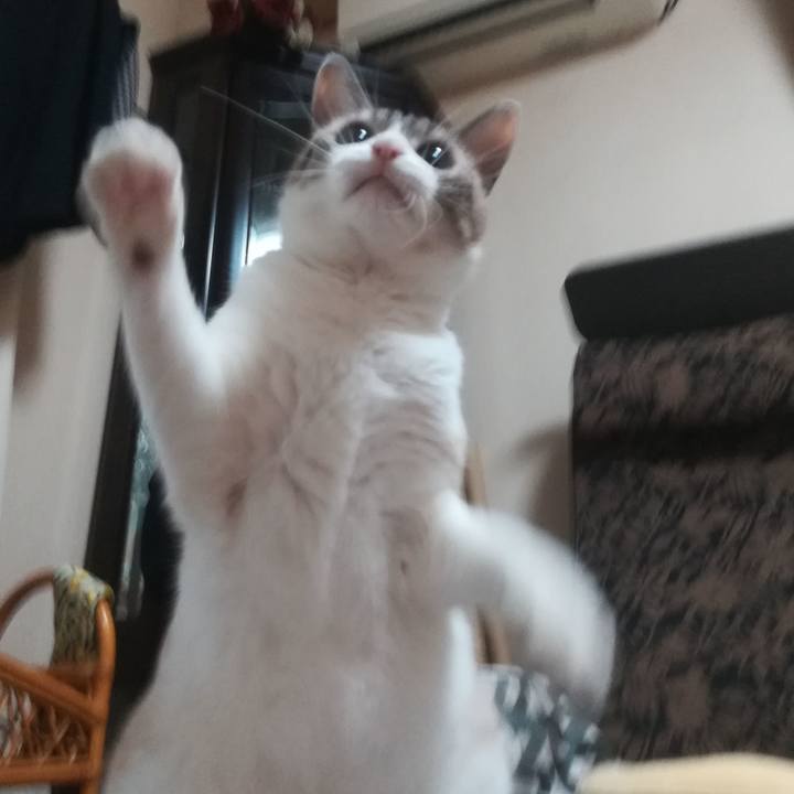 D6470c61 dd97 4727 8b66 af5ea4528314 1531734264656