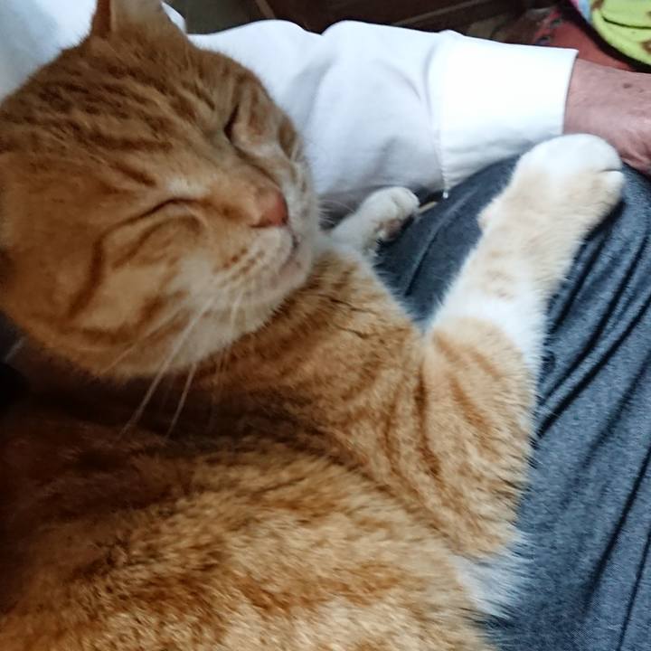 D64719f5 04d8 43e8 b3f9 8111ebc88ea8 1579082223193