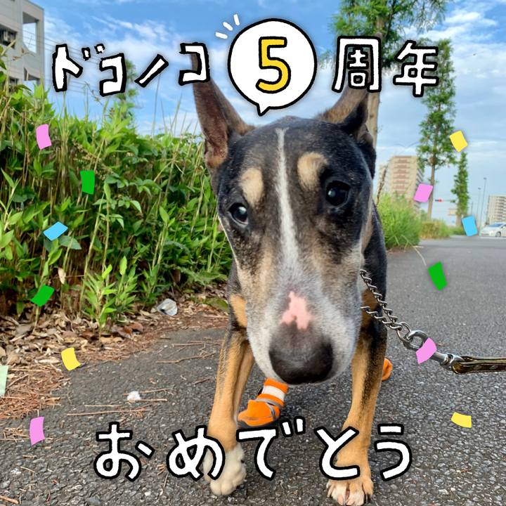 D6471f7f ed0b 4409 a04e eae5d923f543 1622984367557