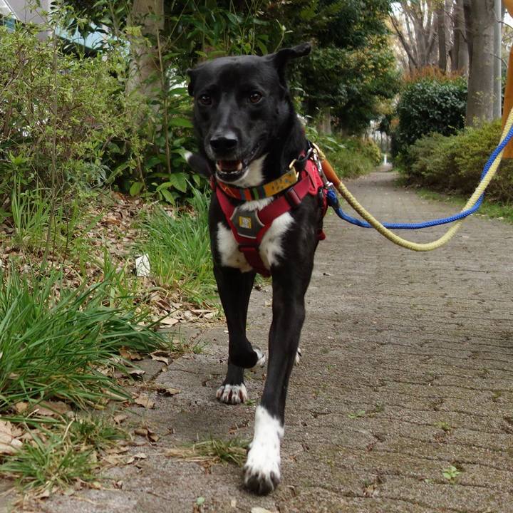 D6472257 aa66 4677 9d23 1b180b528501 1585271243116