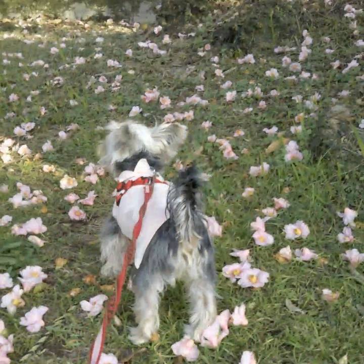 D6474424 d216 4623 b7ff b02bb57becdc 1547539635354