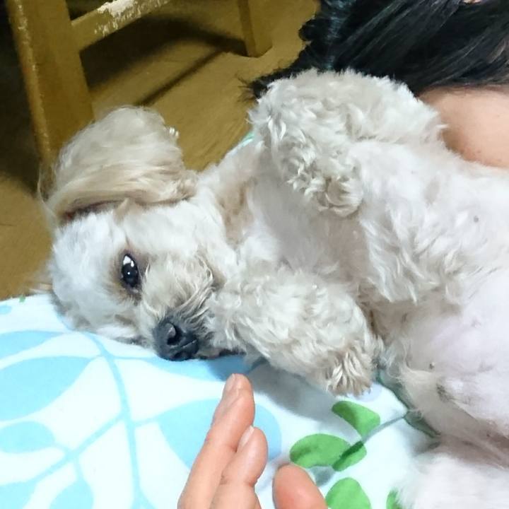 D64745d4 e906 4dc4 8182 648cd9263008 1555509618317