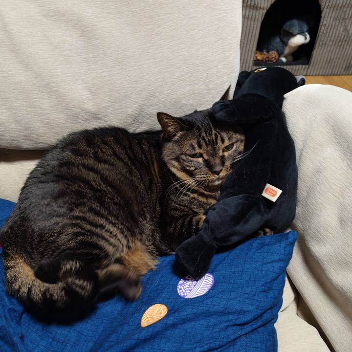 D64783a8 9398 4b95 8669 7aa86c62bc42 1772716914234