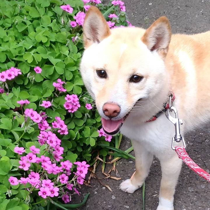 D647d00e 8a53 4fcb 82be 37ef3d81bb8c 1523098288221