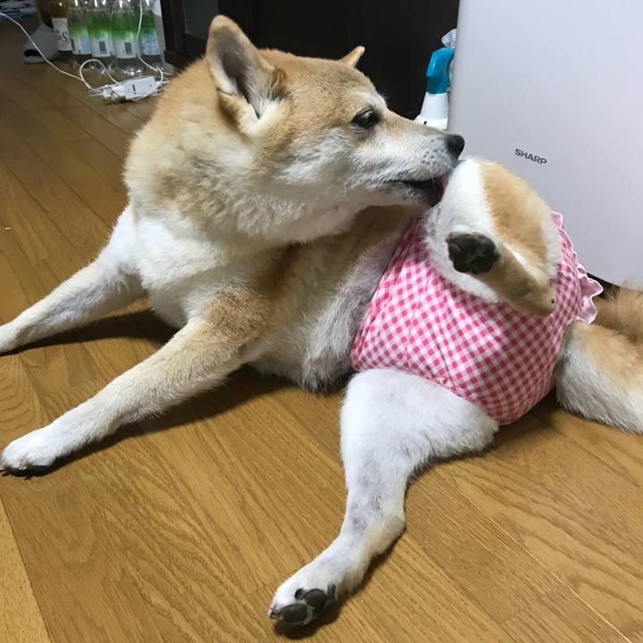 D647e581 edc7 45a4 903a 417dc990e223 1534416345770