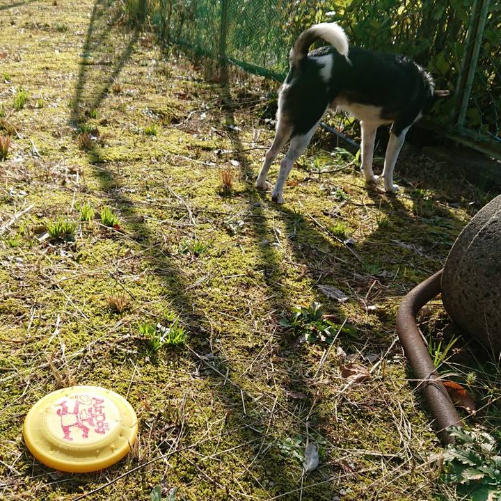 D647f685 d6cc 4be1 97c3 6378df088c4c 1511752126760