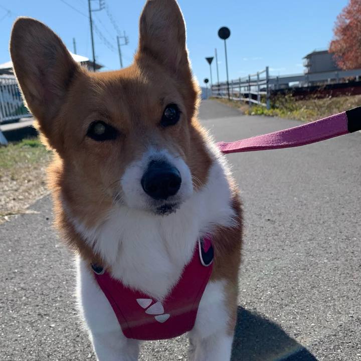 D647fb11 f20e 43e0 adce 20bf63c2a5d6 1701488898490